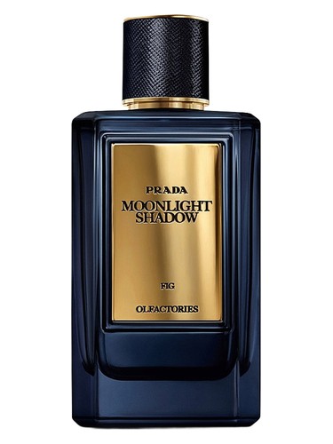 Prada Mirages Moonlight Shadow