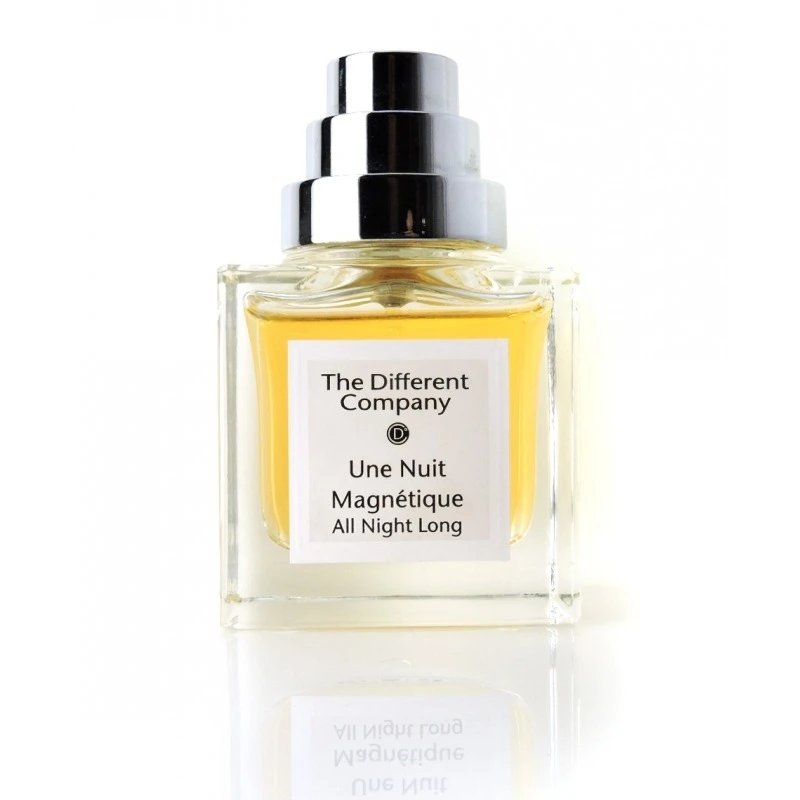 The Different Company Une Nuit Magnetique - All Night Long