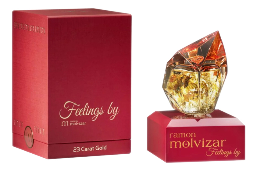 Ramon Molvizar Feelings