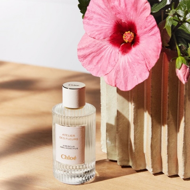 Chloe Hibiscus Abelmoschus