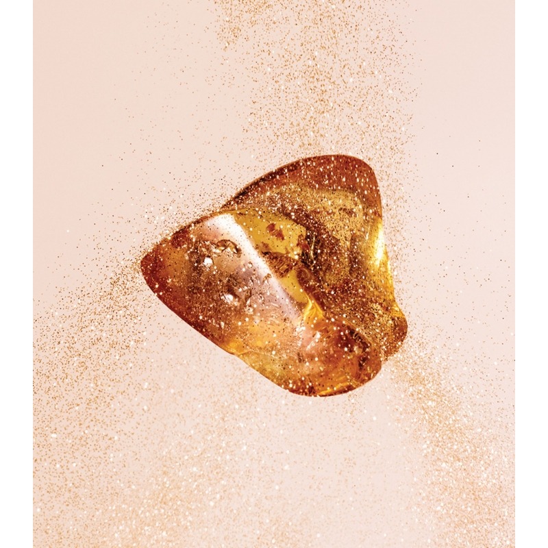 Jimmy Choo Amber Kiss