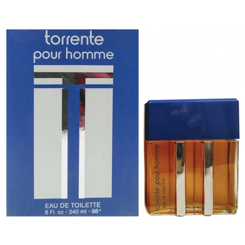 Torrente Pour Homme Парфюмерная вода для мужчин 240 ml
