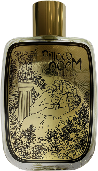 Pierre Guillaume Pillowpoem