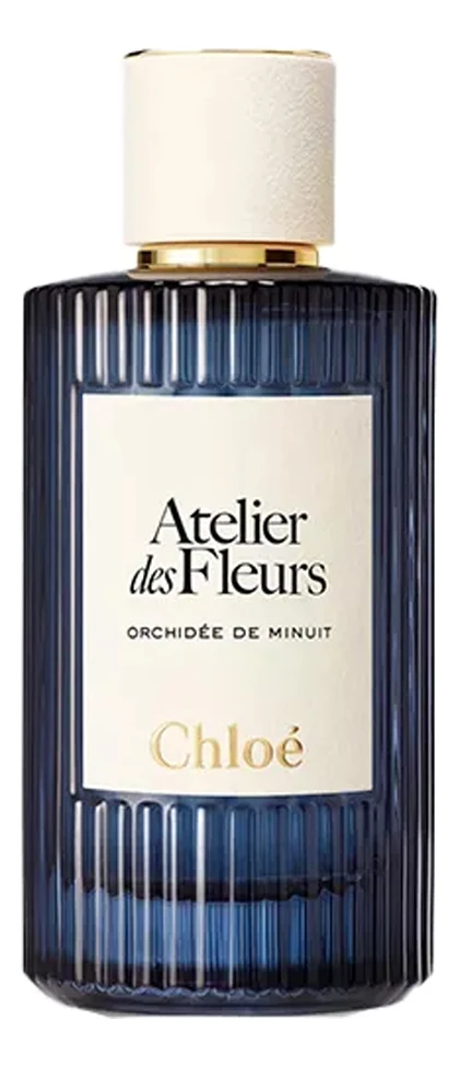 Chloe Orchidee de Minuit