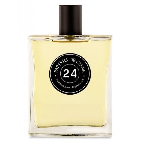 Pierre Guillaume Papyrus de Ciane 24