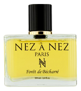 Nez a Nez Foret De Becharre