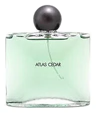 Jean Charles Brosseau Atlas Cedar
