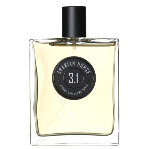 Pierre Guillaume Arabian Horse 3.1