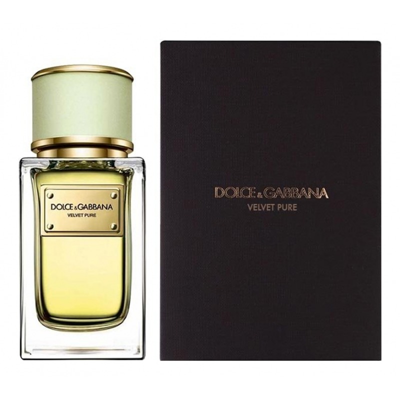 DOLCE & GABBANA Velvet Pure