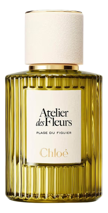 Chloe Plage du Figuier