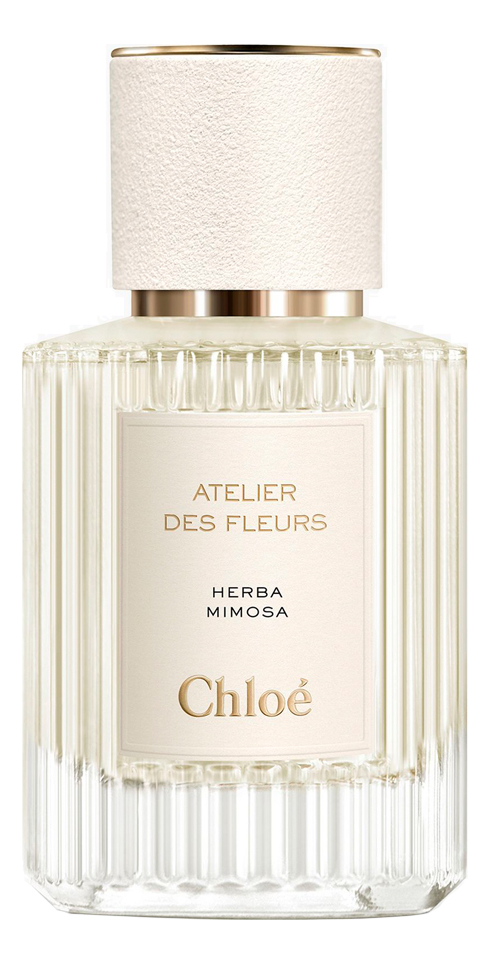 Chloe Atelier Des Fleurs Herba Mimosa