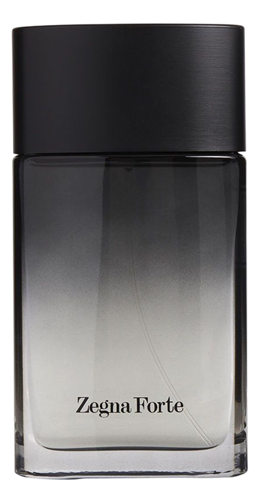 Ermenegildo Zegna Forte Man