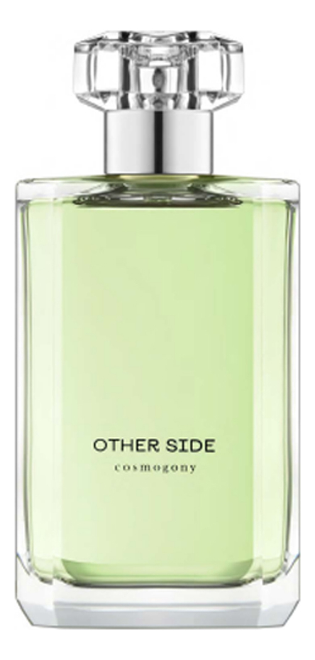 Cosmogony Other Side