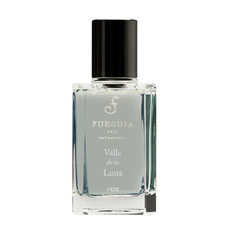 Fueguia 1833 Valle De La Luna
