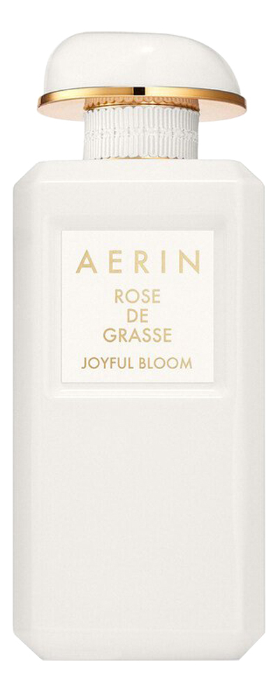 AERIN Rose De Grasse Joyful Bloom