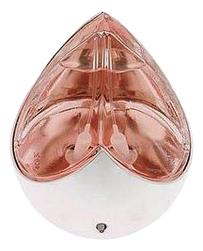 Alexander McQueen Kingdom Limited Edition