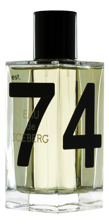 Iceberg Eau de Iceberg Pour Homme