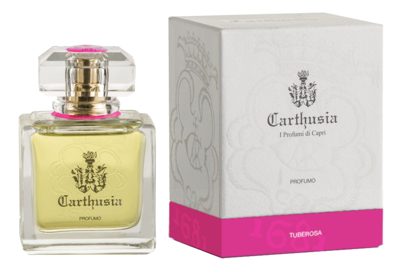 Carthusia Tuberosa