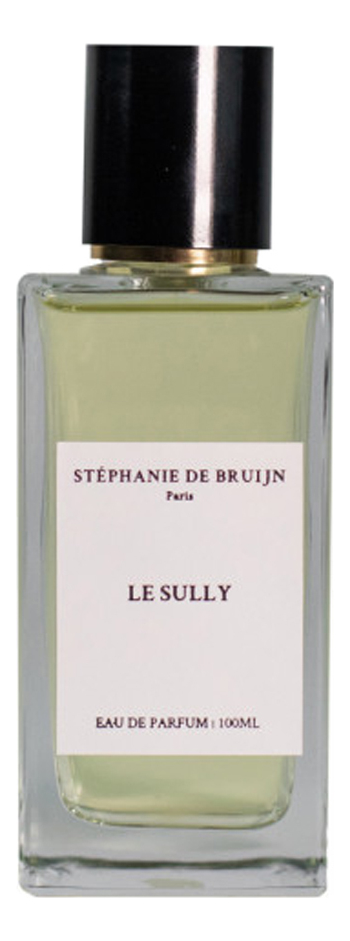 Stephanie de Bruijn Le Sully