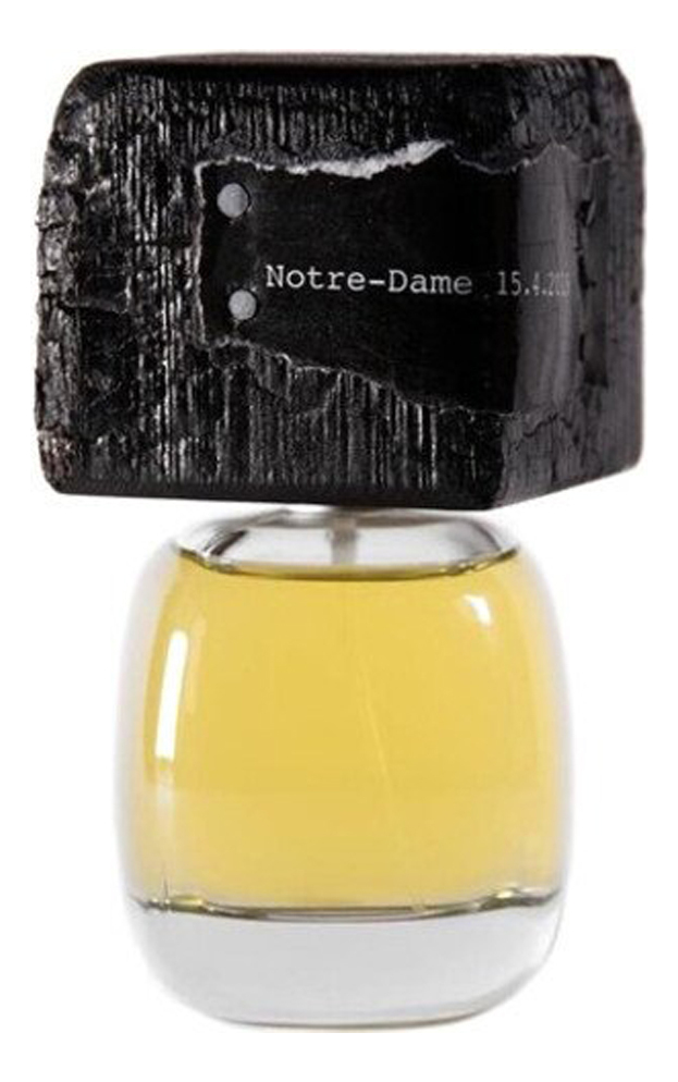 Filippo Sorcinelli Notre Dame 15.4.2019