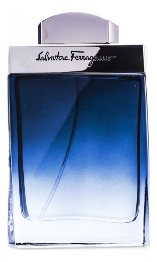 Salvatore Ferragamo Subtil Pour Homme Туалетная вода для мужчин 100 ml тестер