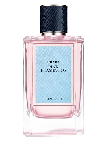 Prada Pink Flamingos