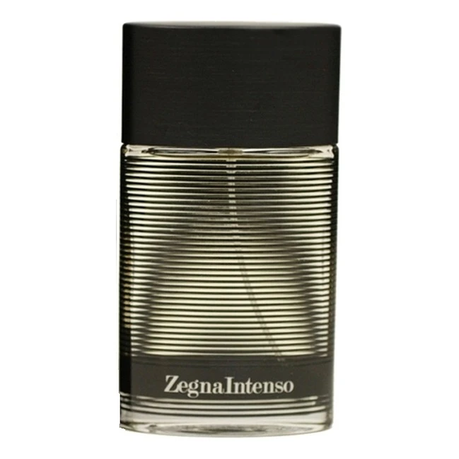 Ermenegildo Zegna Zegna Intenso