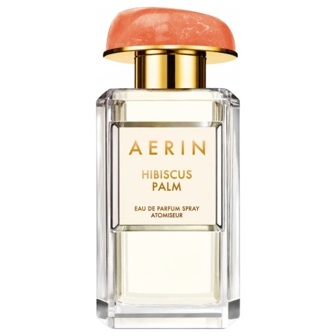 AERIN Hibiscus Palm