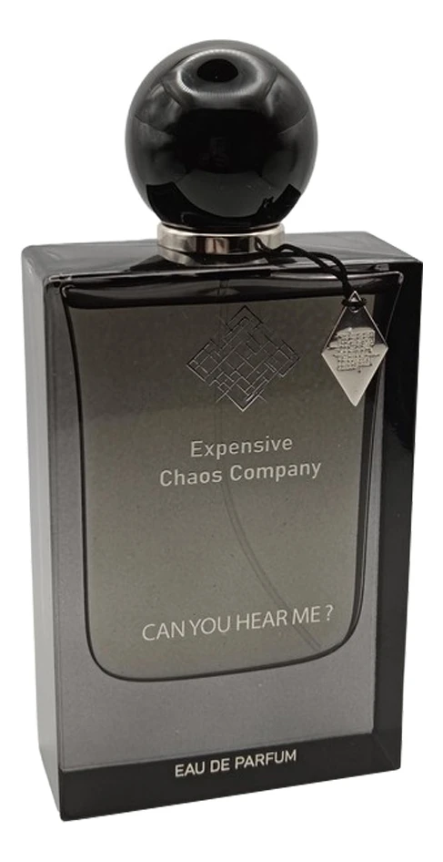 Expensive Chaos Company Can You Hear Me?