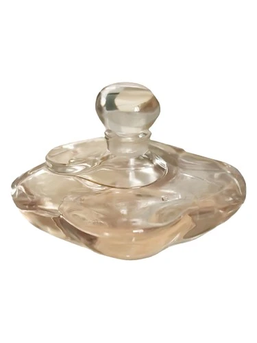 Shiseido Camelia Superieur