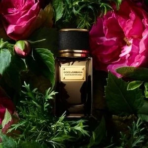 DOLCE & GABBANA Velvet Black Patchouli