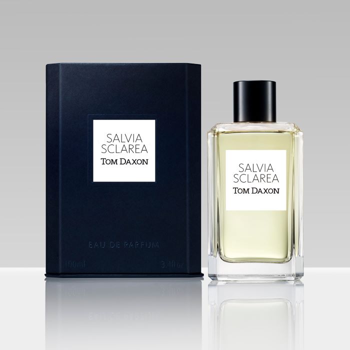 Tom Daxon Salvia Sclarea