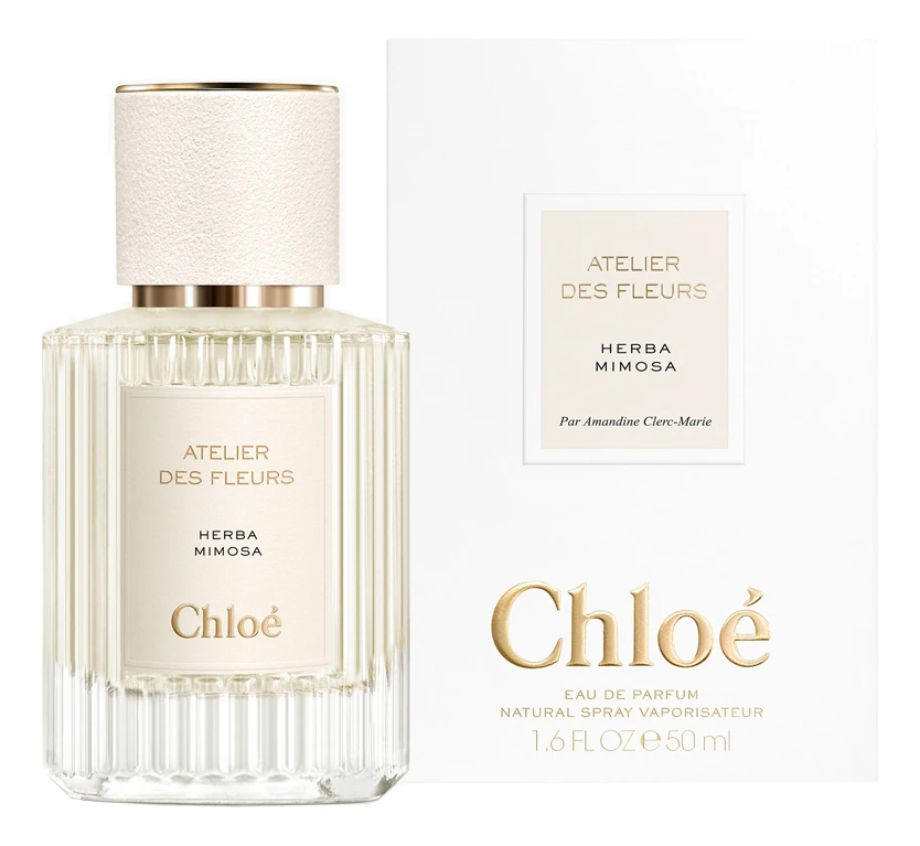 Chloe Atelier Des Fleurs Herba Mimosa