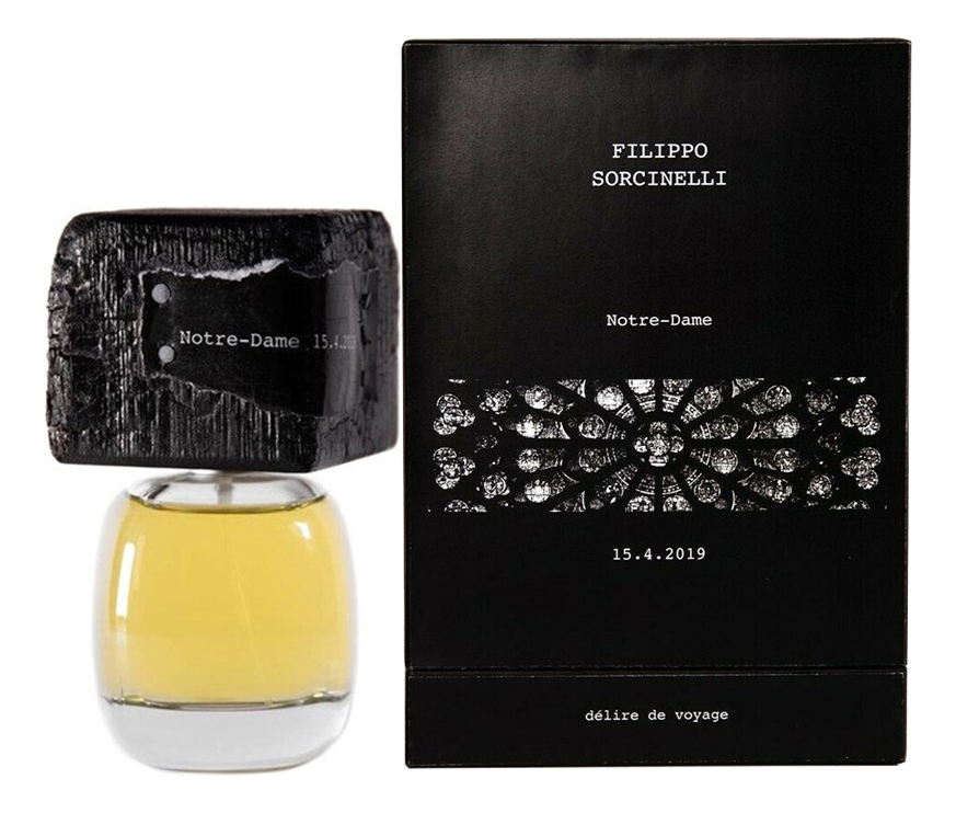 Filippo Sorcinelli Notre Dame 15.4.2019