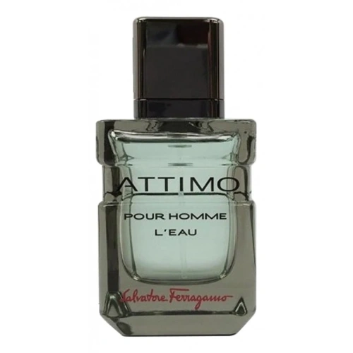 Salvatore Ferragamo Attimo Pour Homme L`Eau