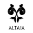 Altaia