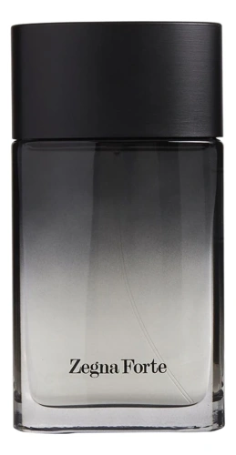 Ermenegildo Zegna Forte Man