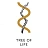 Tree of Life
